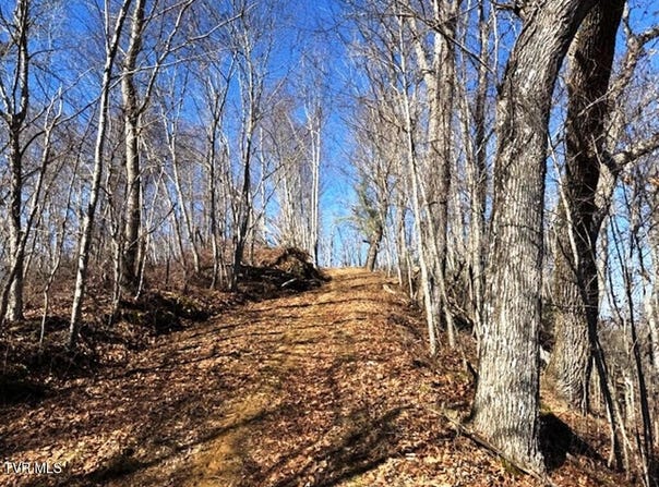 Vilas Overlook Drive, Vilas, NC 28692