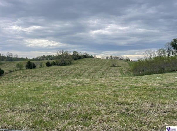 Tract 9 Webster Road, Campbellsville, KY 42718