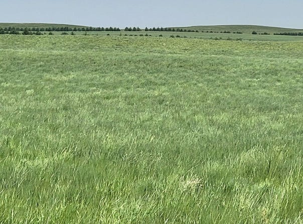 County Road 6, Kimball, NE 69145