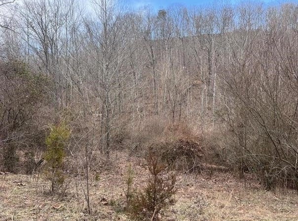 Lot 3 Rose Lane, Barboursville, WV 25504