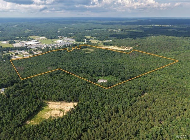 Lonestar Dr, Hamilton, AL 35570