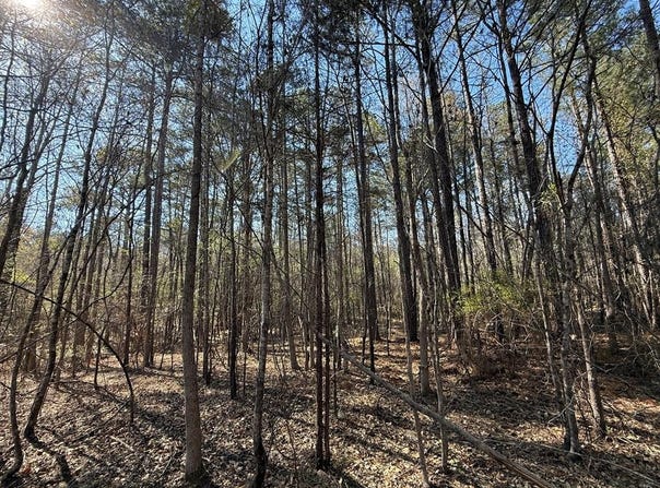 Markham Road, Bradley, SC 29819