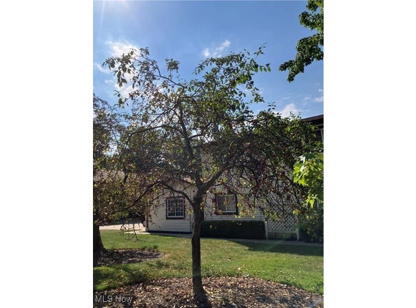 237 Greenbriar Court, Euclid, OH 44143