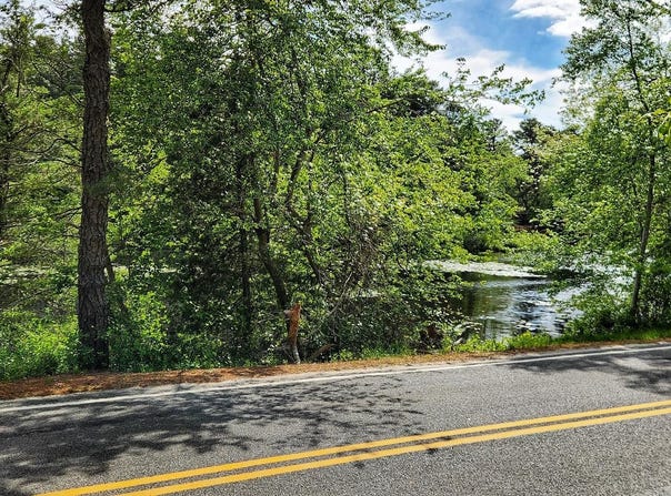 3203 N LAKESHORE DRIVE, BROWNS MILLS, NJ 08015