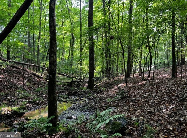 3.52 Ac Payne, Blairsville, GA 30512