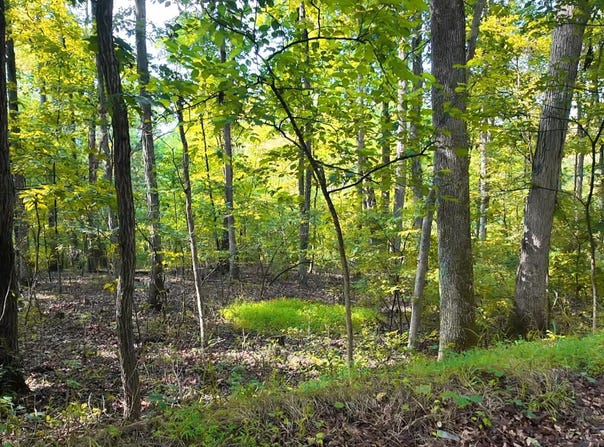 Lot 42 SHALE HILL LANE, AUGUSTA, WV 26704