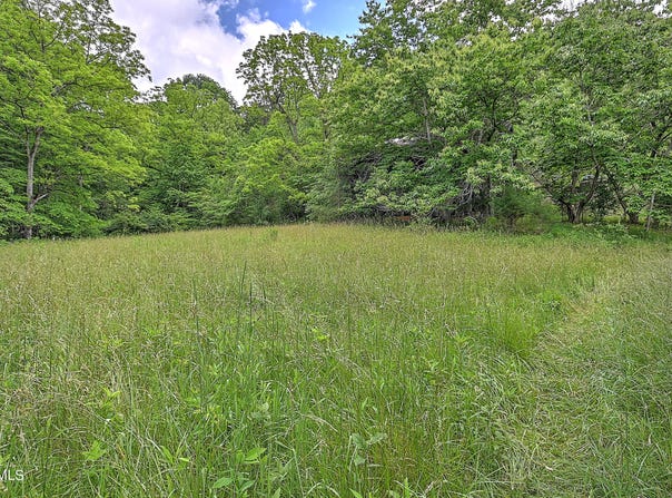 000 Goode Hollow Road, Duffield, VA 24244