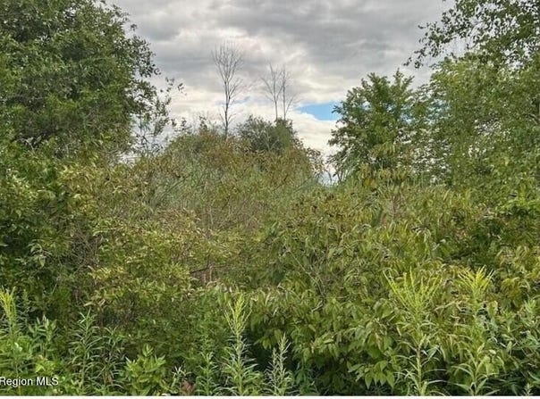 0 E Hawley Lane, New Baltimore, NY 12124