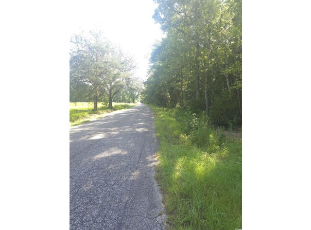 TBD Tomahawk Rd., Hemingway, SC 29554