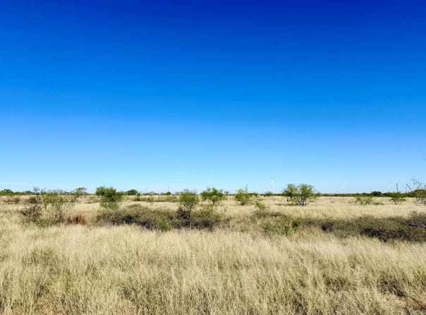 12525 FM 2835, Snyder, TX 79549