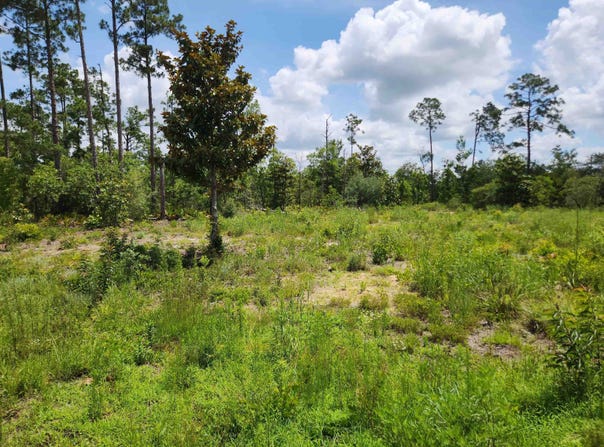 HWY 20, Other Florida, FL 32446