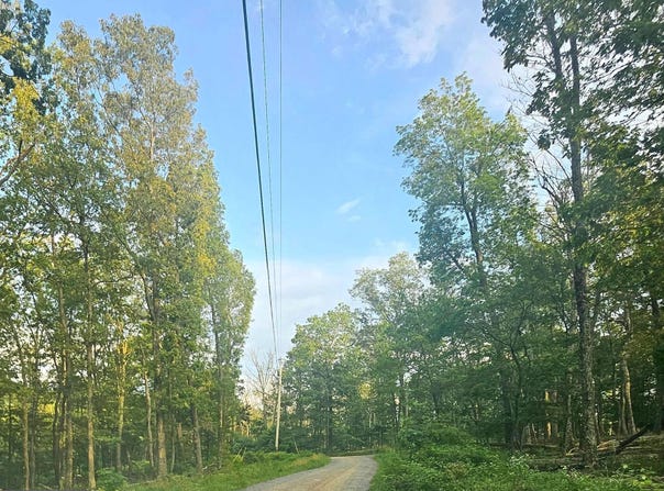 136 N PIONEER LANE, AUGUSTA, WV 26704