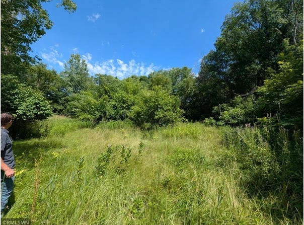 23561 Holly Drive, Long Prairie, MN 56347