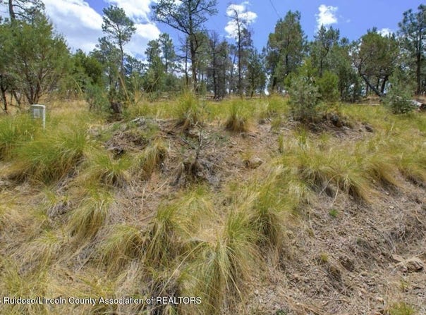 Pine Knot Trail lot: 6, Alto, NM 88312