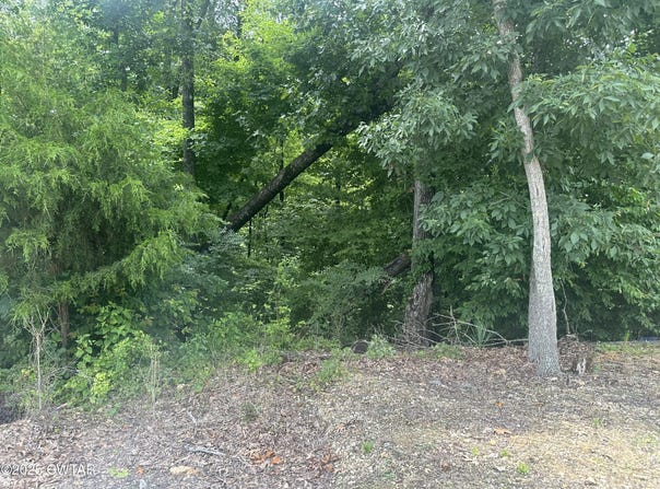 0 Chestnut Ridge Drive, Sugar Tree, TN 38380