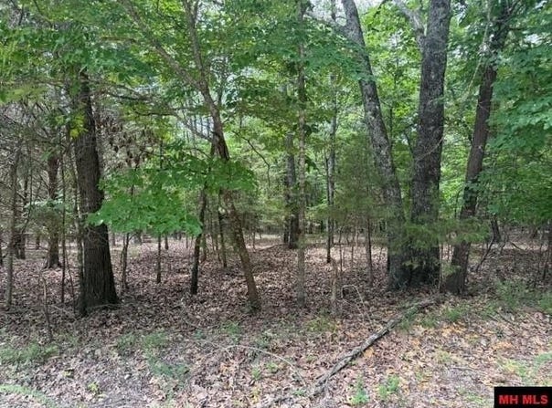 258 CR 472 lot: 41, Clarkridge, AR 72623
