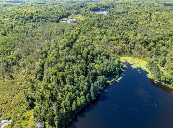ON CHANEY LAKE RD, Bessemer Twp, MI 49911