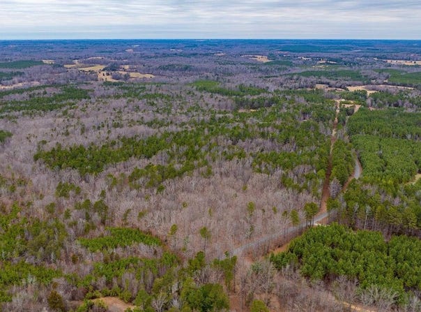 LOT 3 PINEY GREEN RD, CREWE, VA 23930
