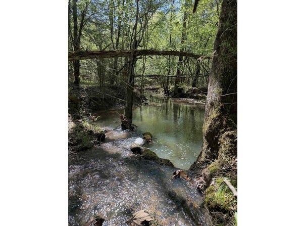 Brooks Road, De Queen, AR 71832