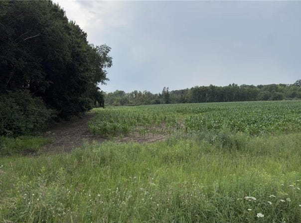 Xxx Athens, Stacy, MN 55079