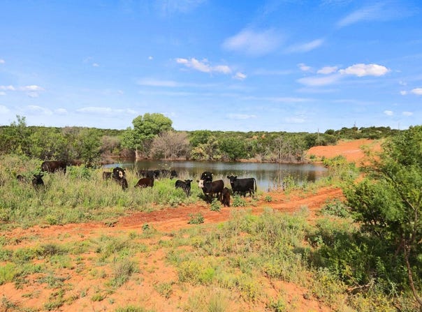 1441 Co Rd 362, Dickens, TX 79229