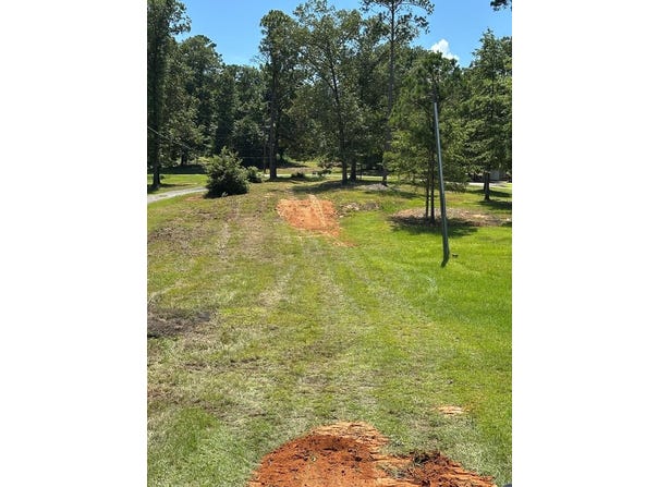 914 LAKESHORE DR, Abbeville, AL 36310