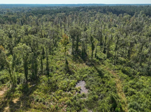 891 Ms-48, Tylertown, MS 39667