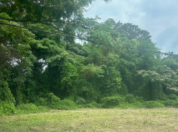 802 Old Lee Highway, Tuscumbia, AL 35674