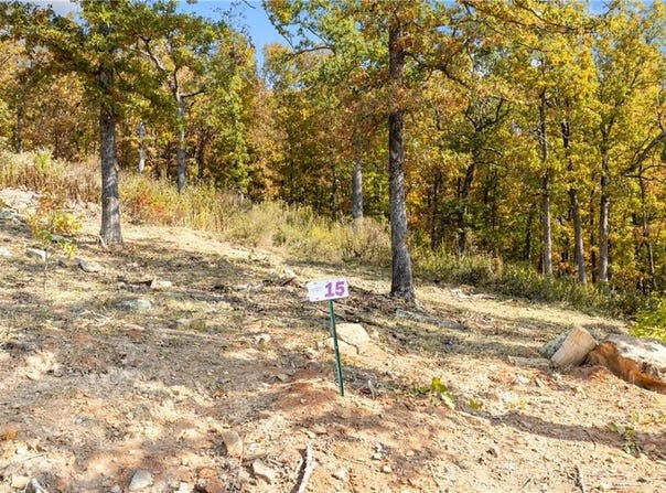 Lot 15 Peaceful  PL, Harrison, AR 72601