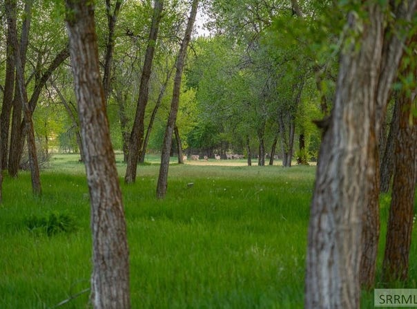 333 N 4440 E, Rigby, ID 83442