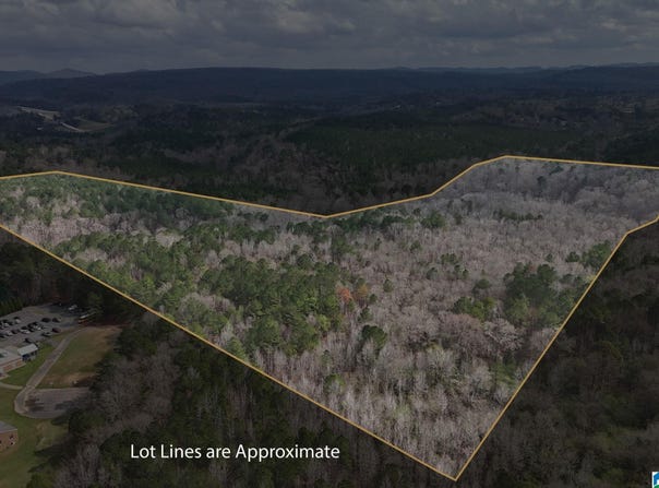 8260 KERMIT JOHNSON ROAD lot: 3 And 3B, PINSON, AL 35126