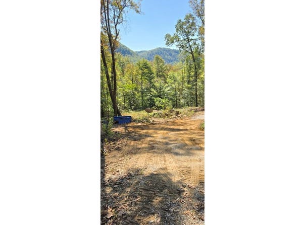 1354 E Obey Lane lot: 413, Wilder, TN 38589