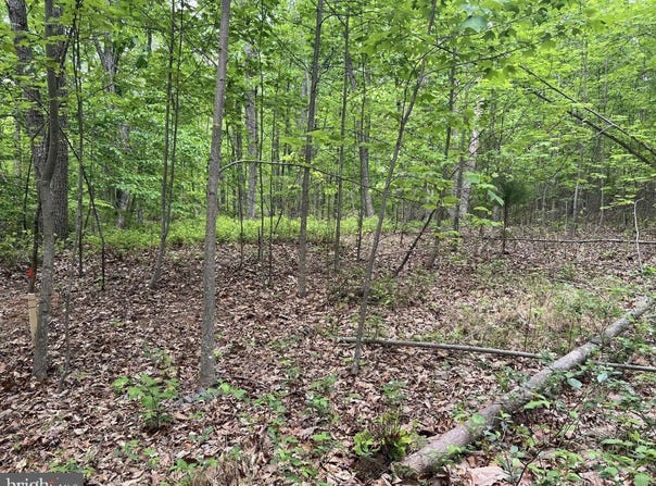 COURTNEY SCHOOL, MIDLAND, VA 22728