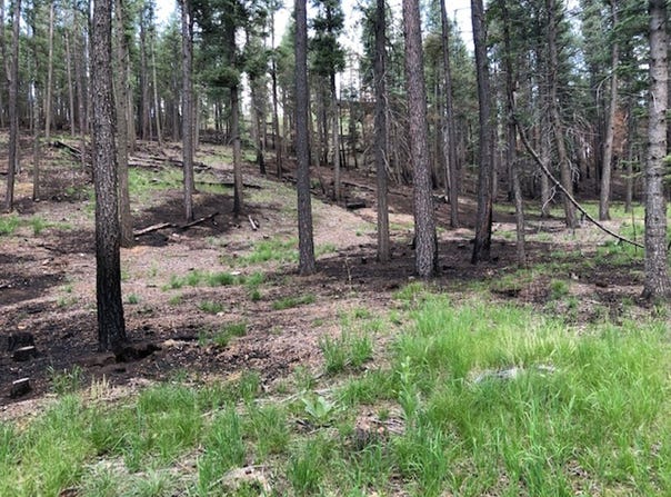 Pendaries Village Subdivision 4-2 Extension lot: 91, Rociada, NM 87742