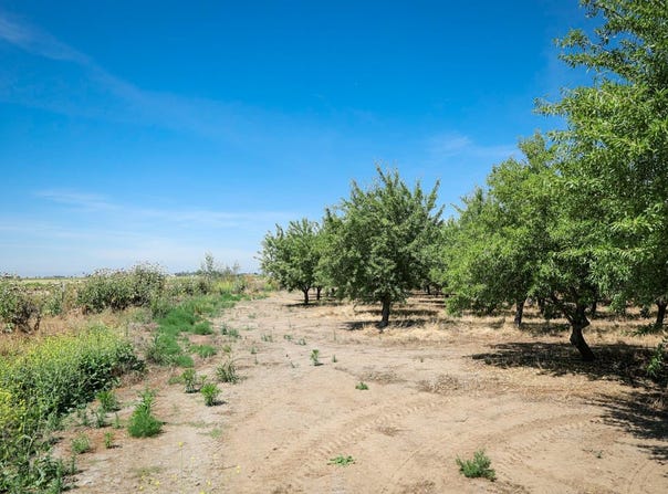 Thorton Road, Merced, CA 95341