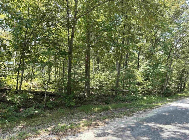 Otts Road, BUCHANAN, TN 38222