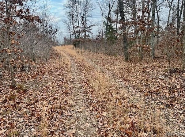 0 125.87 Ac Tract1-A Clear Creek Road, Richwoods, MO 63071