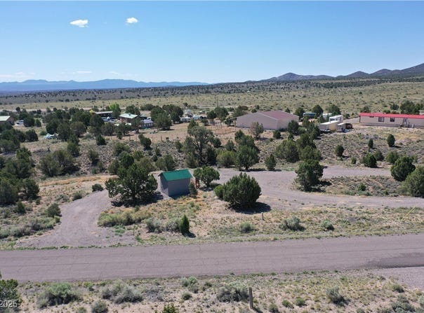 Bartolo (2 Acres), Pioche, NV 89043