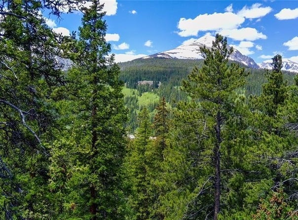 1013 RANGE ROAD, Breckenridge, CO 80424