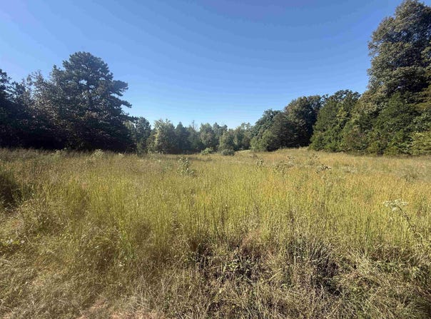58 Gorby Road, Calico Rock, AR 72519