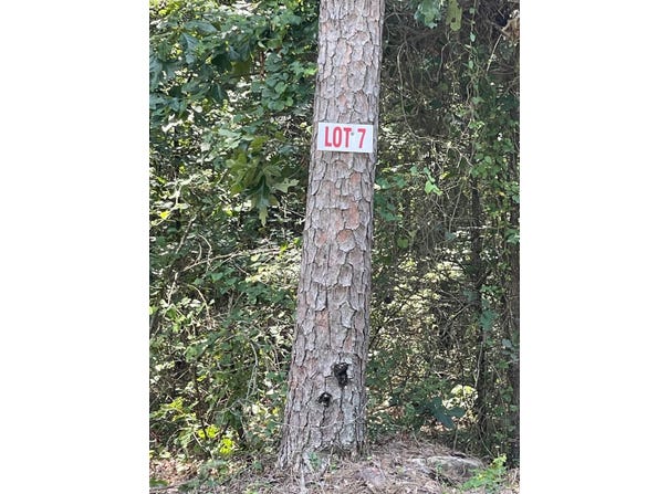 Lot 7 Pleasant Ridge Road, Greers Ferry, AR 72067