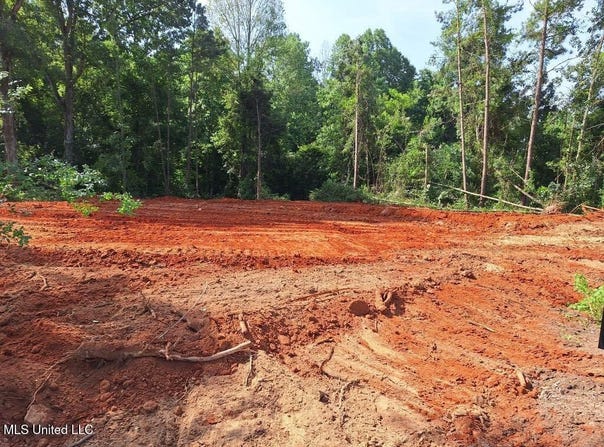 1063 Dry Creek Road, Mendenhall, MS 39114