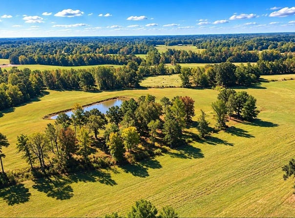McCaney Mill Road, Lexington, TN 38351