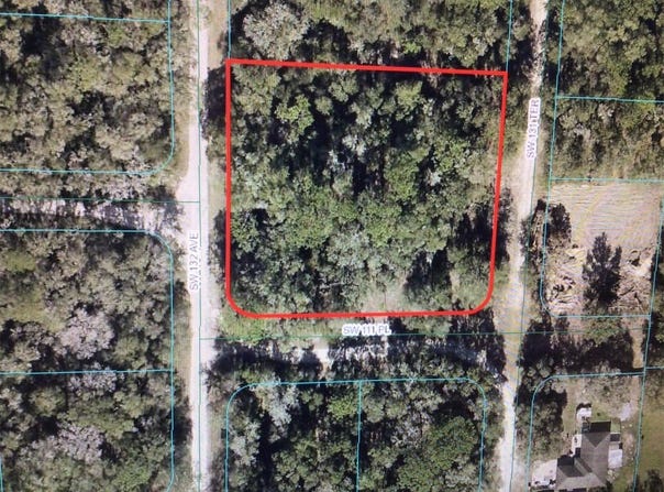 0 SW 132 AVE & SW 131 TERRACE, DUNNELLON, FL 34432