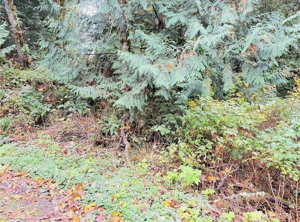 1 West Alder Drive, Sedro Woolley, WA 98284