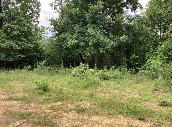 O Orme Mountain Road, South Pittsburg, TN 37380