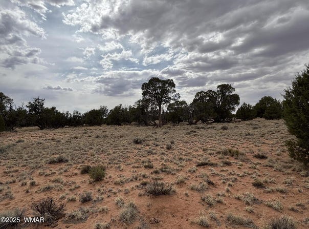 Tbd N5505, Concho, AZ 85924