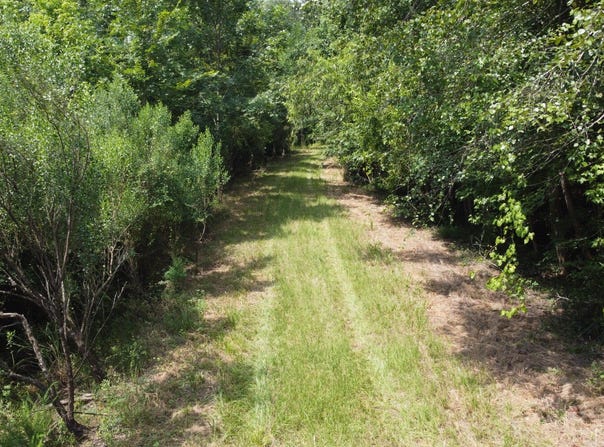 0 Rudd Rd, Ridgeville, SC 29472