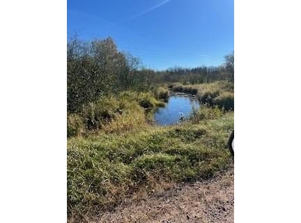 Wick Road, Saginaw, MN 55779