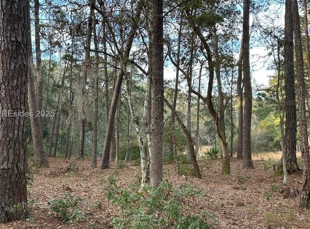 44 Masters Drive, Daufuskie Island, SC 29915